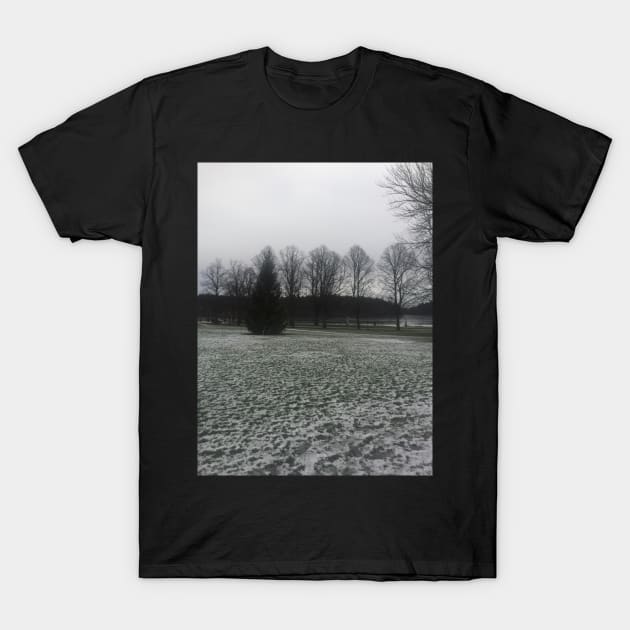 Snowy Trees T-Shirt by Sanworld